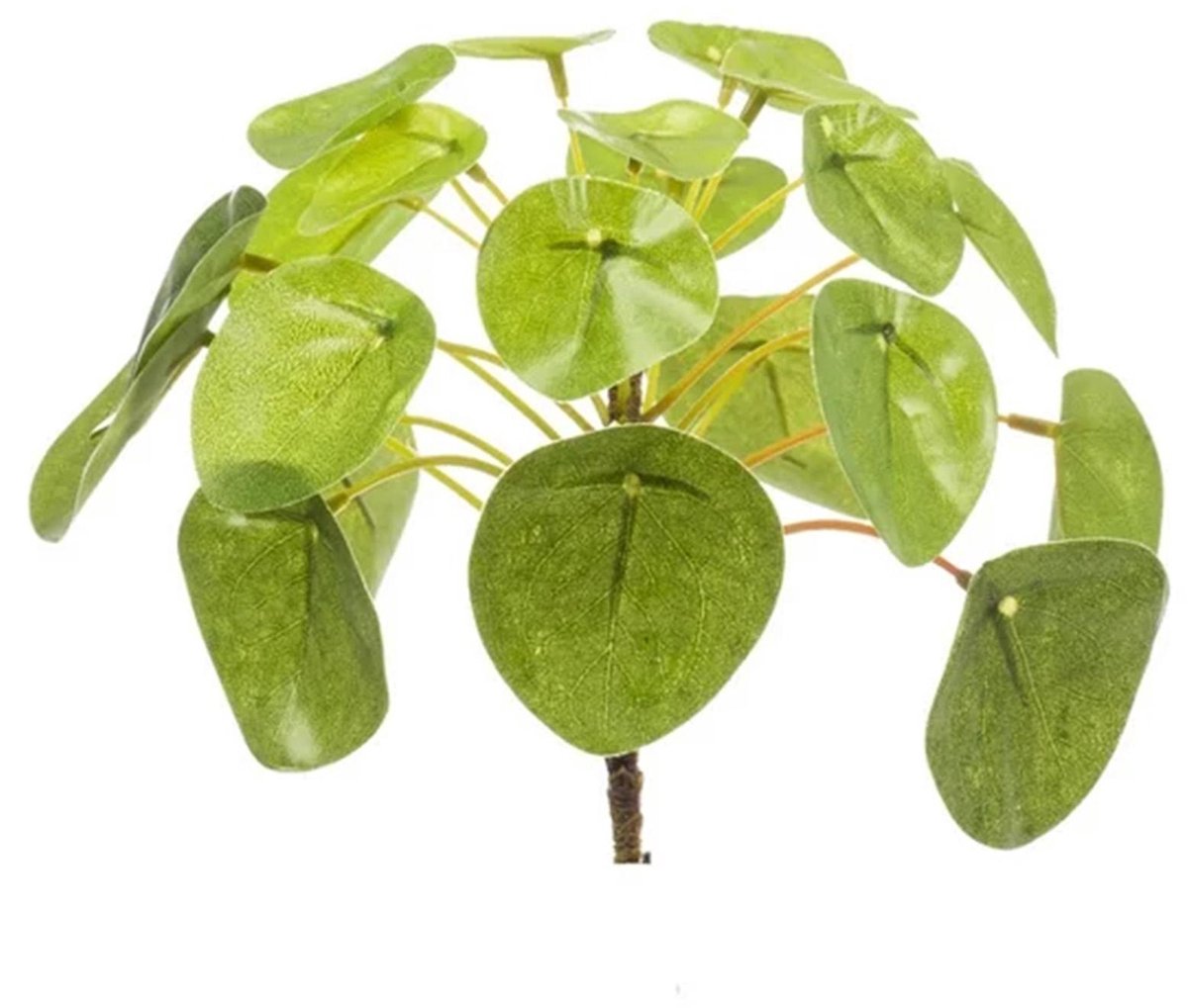 Emerald Pilea Mini Bush - Kunstplant - ↑ 15 cm Groen