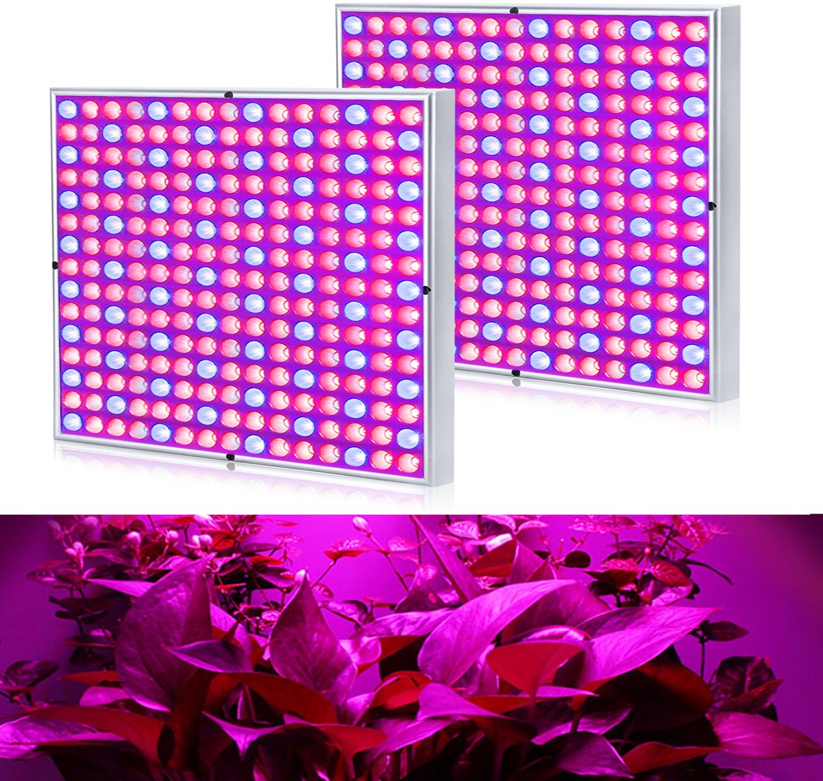 Froadp 2X 45W LED-plantenlamp 225 LED's rood en blauw Plante