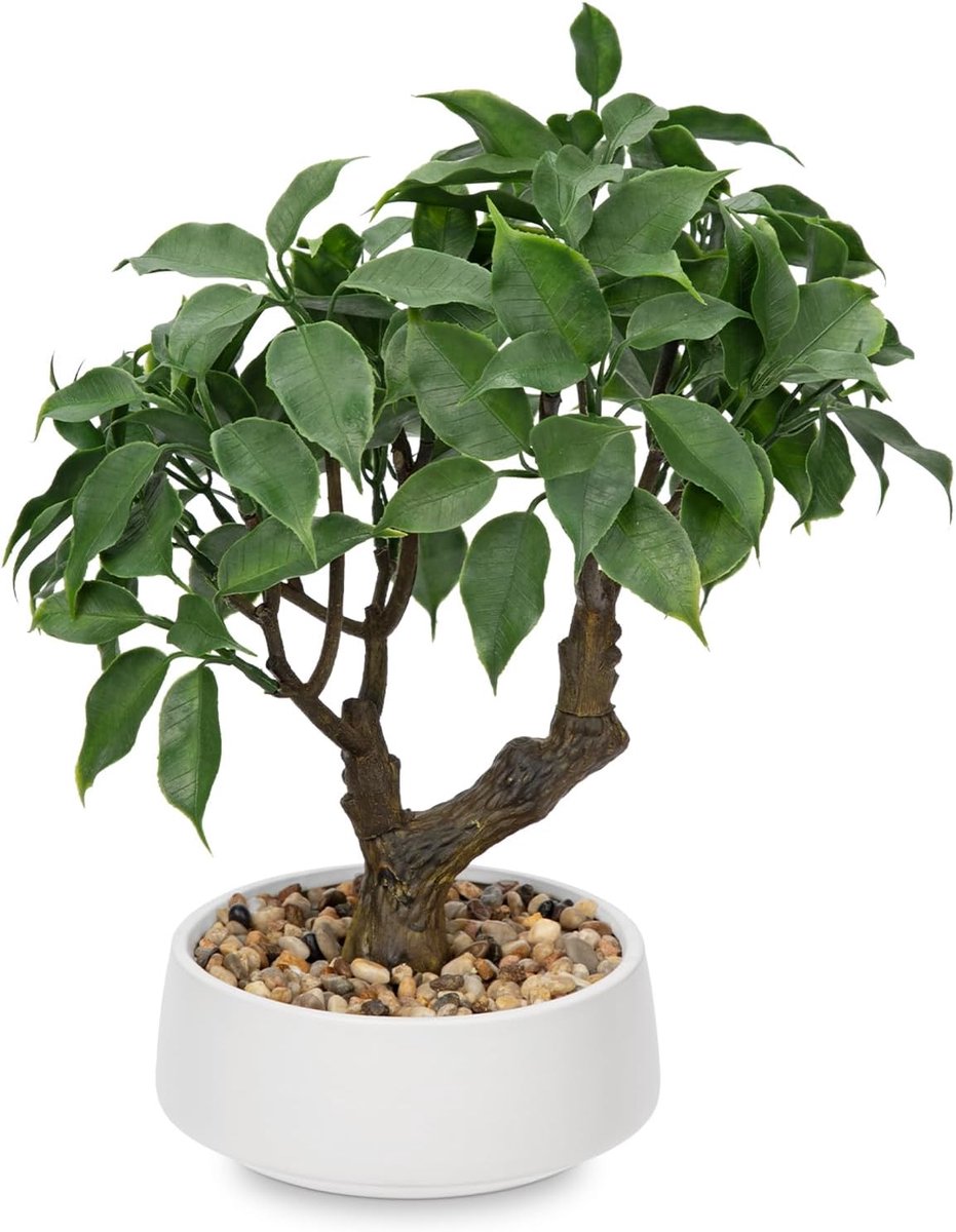 MELVRA Kunstplant Bonsai - Kunstmatige Bonsaiboom - In Keramische Pot - 25 cm - Japanse Decoratie - Kunstplant in Pot - Voor Woonkamer, Slaapkamer en Kantoor - Onderhoudsvrij