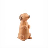 Vase Teckel - Wiener - Dachshund - Chien - Vase à fleurs - Fleurs - Vase à fleurs - Marron - Tekkel