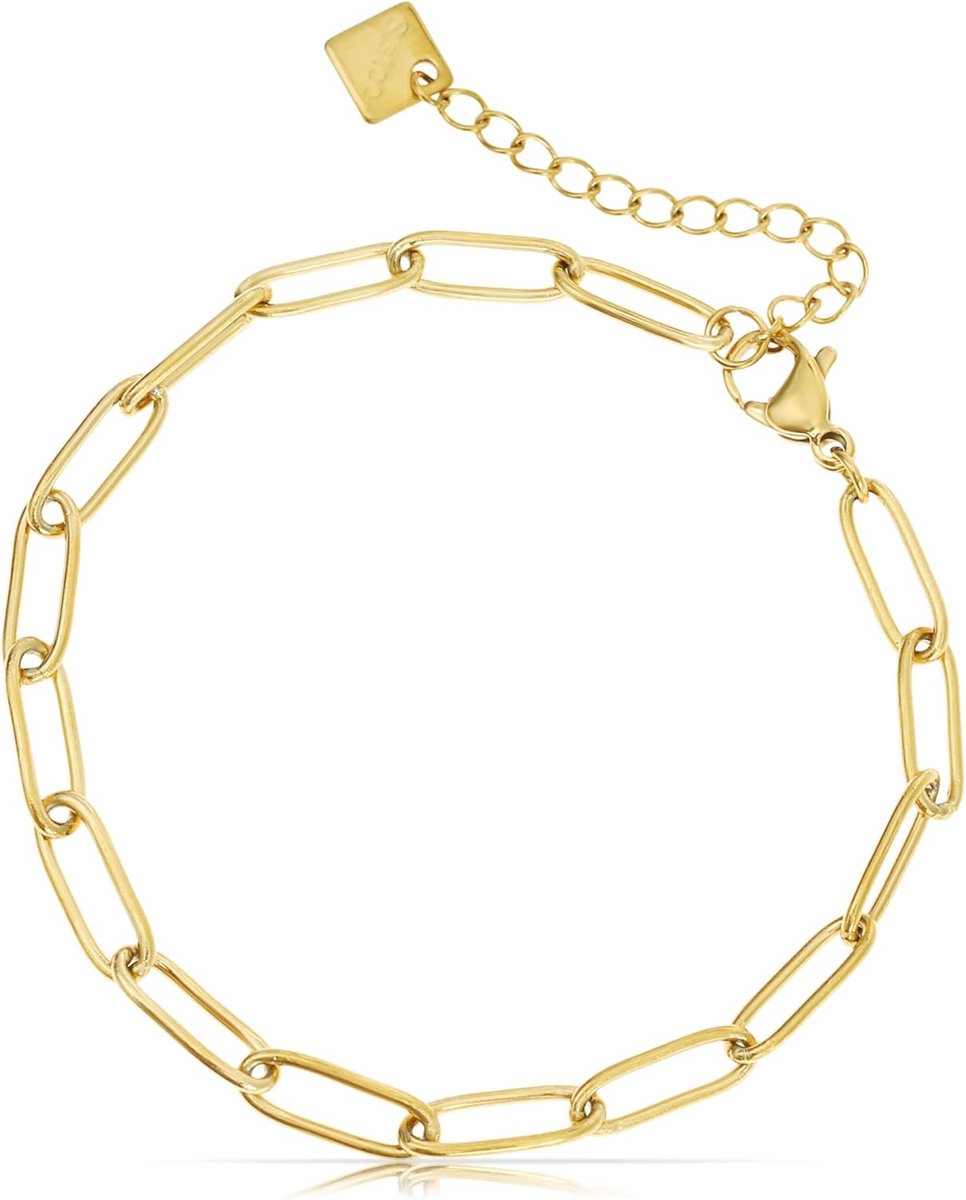 Dames Armband Roestvrij Staal Waterdicht Goud Kleur Schakel Mooi Cadeau