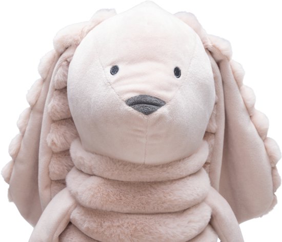 Beige pluche konijn met lange oren, geborduurde ogen en snuit.