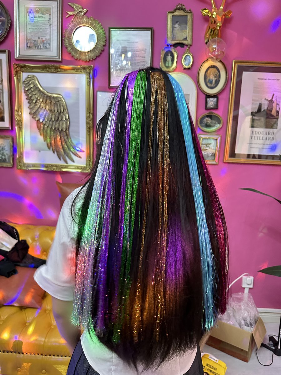 17-Kleuren Haar Glitter Set – Glanzende Holografische Hair Tinsel – Verstelbare, Hittebestendige Haarextensies voor Festival, Party & Dagelijks Gebruik