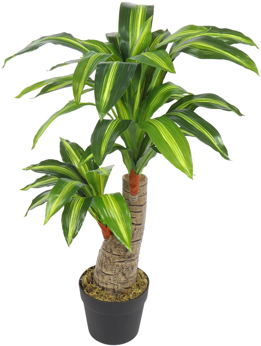 Kunstpalm Kunst Dracaena op Stam – 80 cm – Tropische Kamerplant – In Pot – kunst Kamerplant Donkergroen