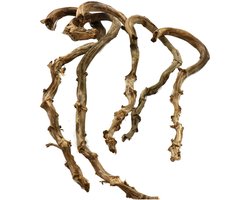 Gedroogde Banana stick | 100% natuurlijke terrariumdecoratie voor reptielen 100% natuurlijk