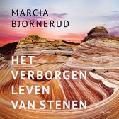 Het verborgen leven van stenen