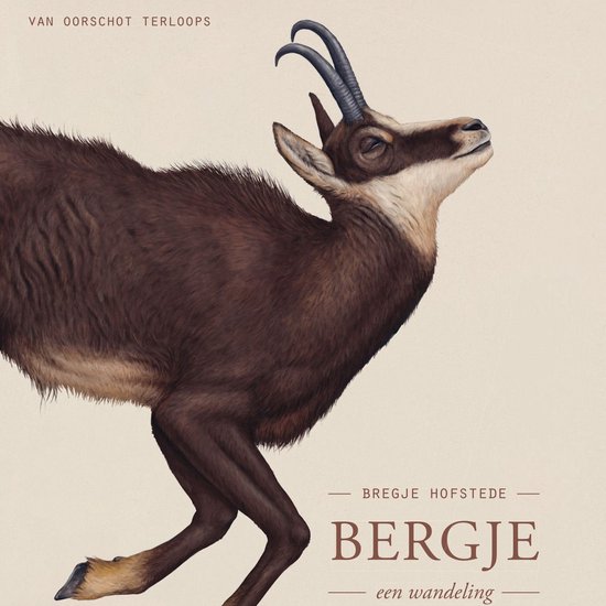 Bergje - cover