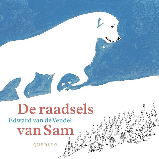 De raadsels van Sam - cover
