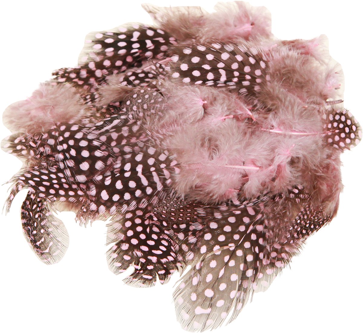 Echte parelhoenveren roze met stippen 4-12cm 100 stuks, 100 Stück