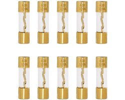 Pack van 10 Autozekeringen - 100 A AGU Zekeringen - Voor Auto Audio en Alarm Systemen