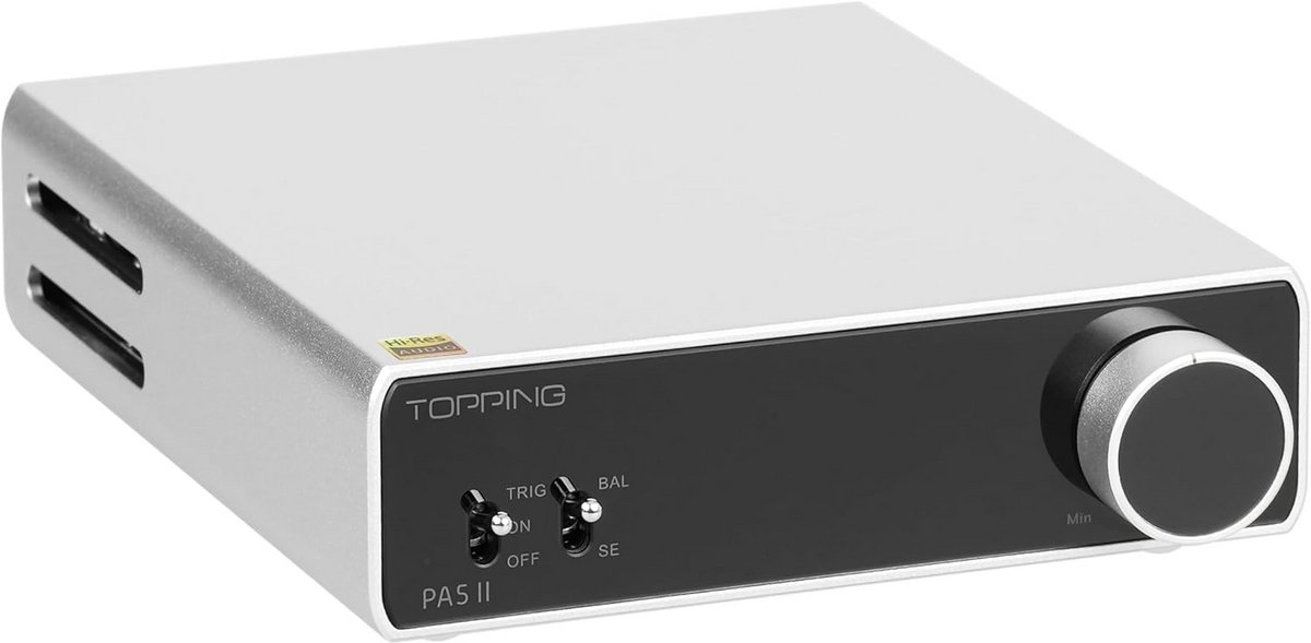 100W x 2 Klasse D Eindversterker met Balans en TRS/RCA Invoer voor Thuis Audio