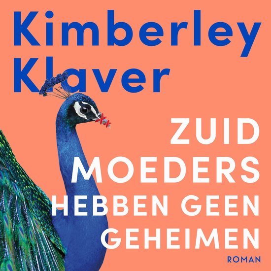 Zuid-moeders hebben geen geheimen - cover