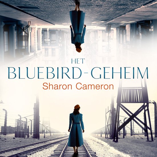 Het Bluebird geheim - cover