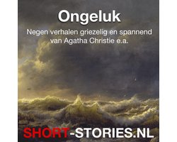 Omslag van Ongeluk