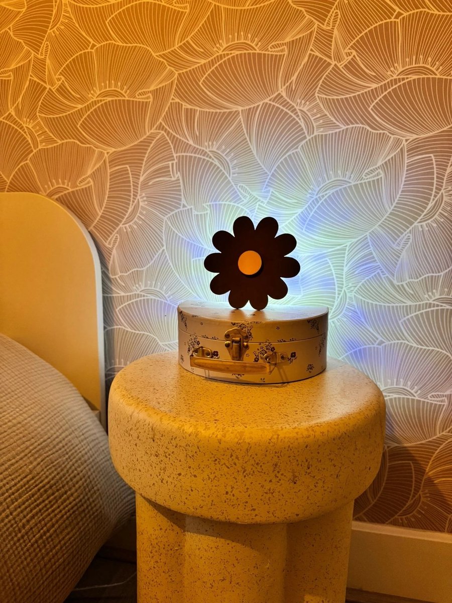 StudioLoes - DIY – Nachtlamp bloem – Knutselset Nachtlampje Kinderen – Schilderen – Knutselen Voor Kinderen - Verf je eigen Nachtlampje - Inclusief Verf, Penselen, lijm
