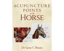 Omslag van Acupuncture Points on the Horse