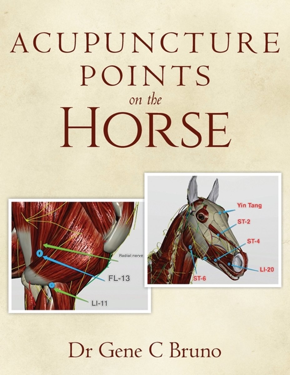 Omslag van Acupuncture Points on the Horse