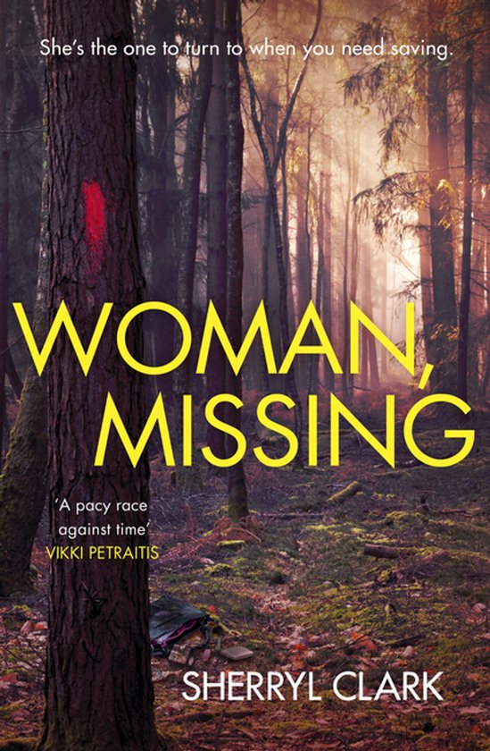 Lou Alcott 1 - Woman, Missing - cover