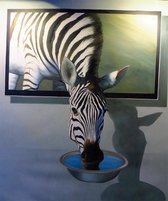 Diamond painting zebra 40 x 50 cm