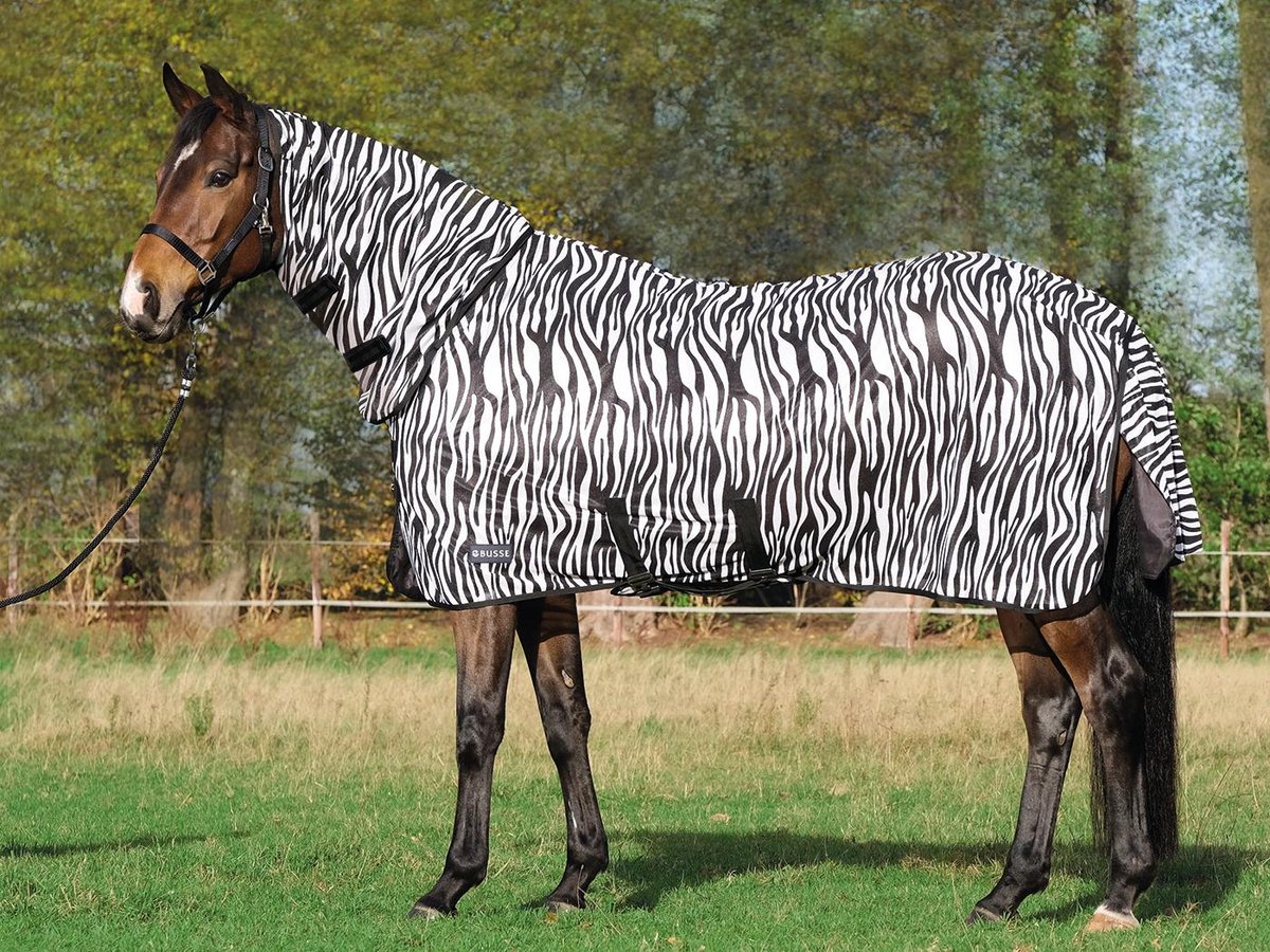 Busse Paddock Vliegendeken Comfort Pro Zebra-155-205
