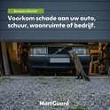 Een marter die aan een auto in een garage ruikt, MartGuard voorkomt schade.
