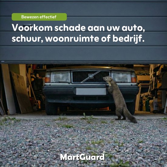 Een marter die aan een auto in een garage ruikt, MartGuard voorkomt schade.