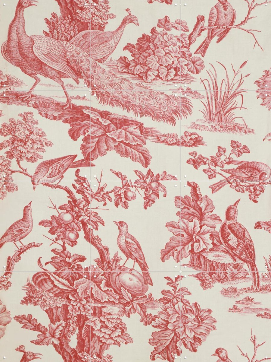 IXXI Birds and Fruit, Victoria and Albert Museum - 60 x 80 cm - Gratis ophangtool - Grote wanddecoratie en posters - Vintage, Klassiek, Houtsnede