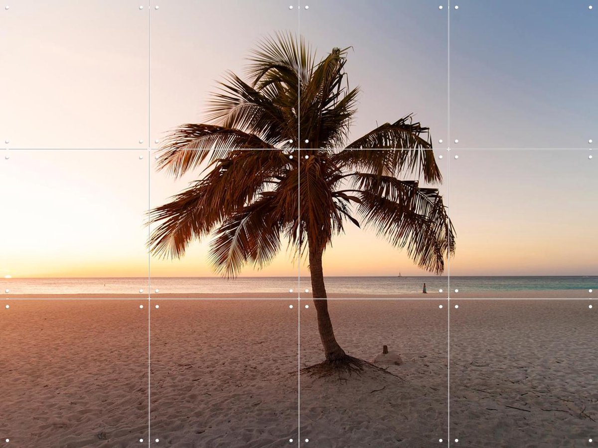 IXXI Summer Vibes Palm, Claire Droppert - 80 x 60 cm - Gratis ophangtool - Grote wanddecoratie en posters - Fotografie, Naturalisme, Woonkamer