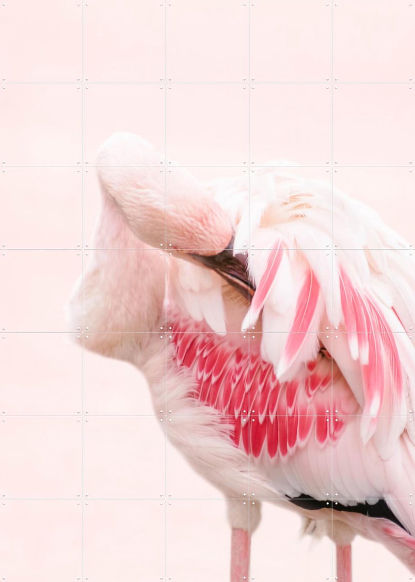 IXXI Pink Flamingo, Ingrid Beddoes - 100 x 140 cm - Gratis ophangtool - Grote wanddecoratie en posters - Fotografie, Kleurrijk, Badkamer, Slaapkamer