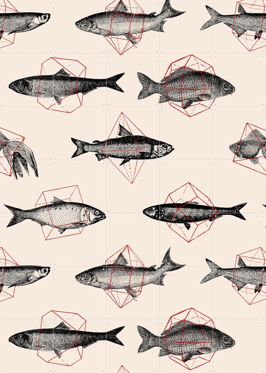 IXXI Fishes in Geometrics, Florent Bodart - 100 x 140 cm - Gratis ophangtool - Grote wanddecoratie en posters - Line art, Illustraties, Grafisch