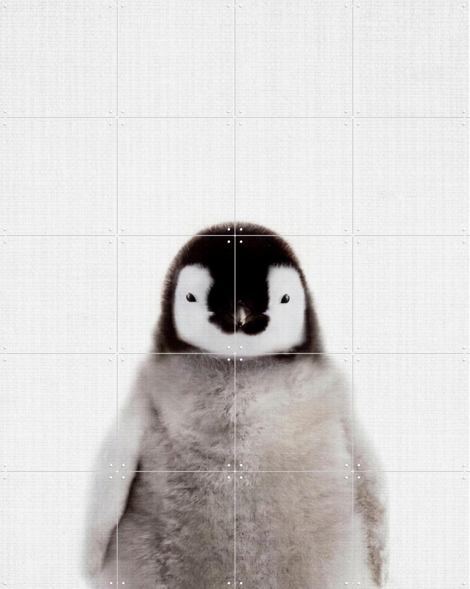 IXXI Print 362 Pinguin, Lila + Lola - 80 x 100 cm - Gratis ophangtool - Grote wanddecoratie en posters - Fotografie, Minimalisme, Woonkamer