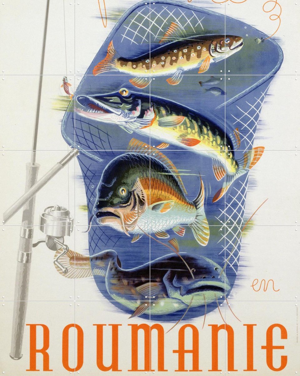 IXXI Fish from Romania, Bridgeman Images - 80 x 100 cm - Gratis ophangtool - Grote wanddecoratie en posters - Vintage, Illustraties, Eetkamer