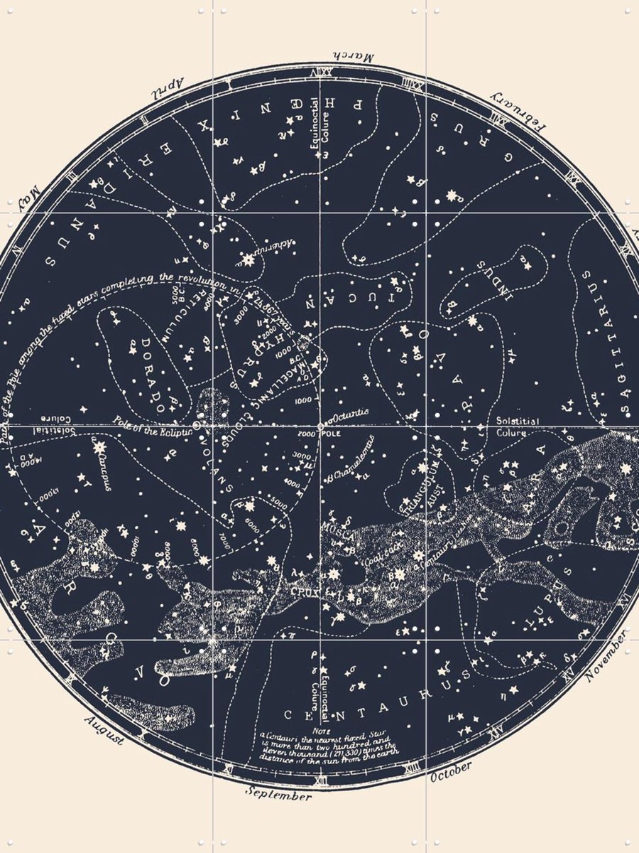 IXXI Southern Constellations, Aster Edition - 60 x 80 cm - Gratis ophangtool - Grote wanddecoratie en posters - Technische Tekening, Vintage