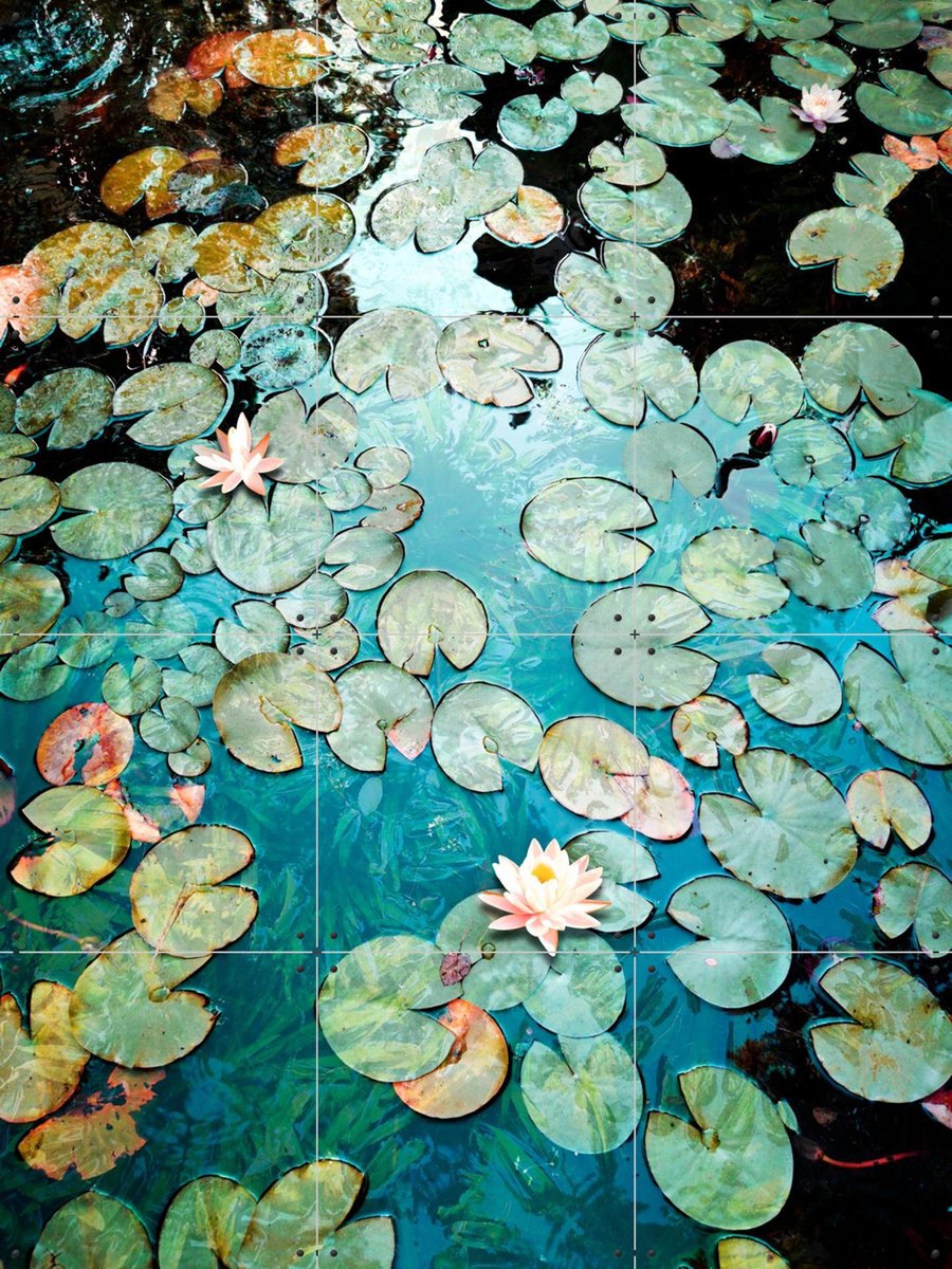 IXXI Waterlilies, Angelo Cerantola - 60 x 80 cm - Gratis ophangtool - Grote wanddecoratie en posters - Fotografie, Impressionisme, Naturalisme