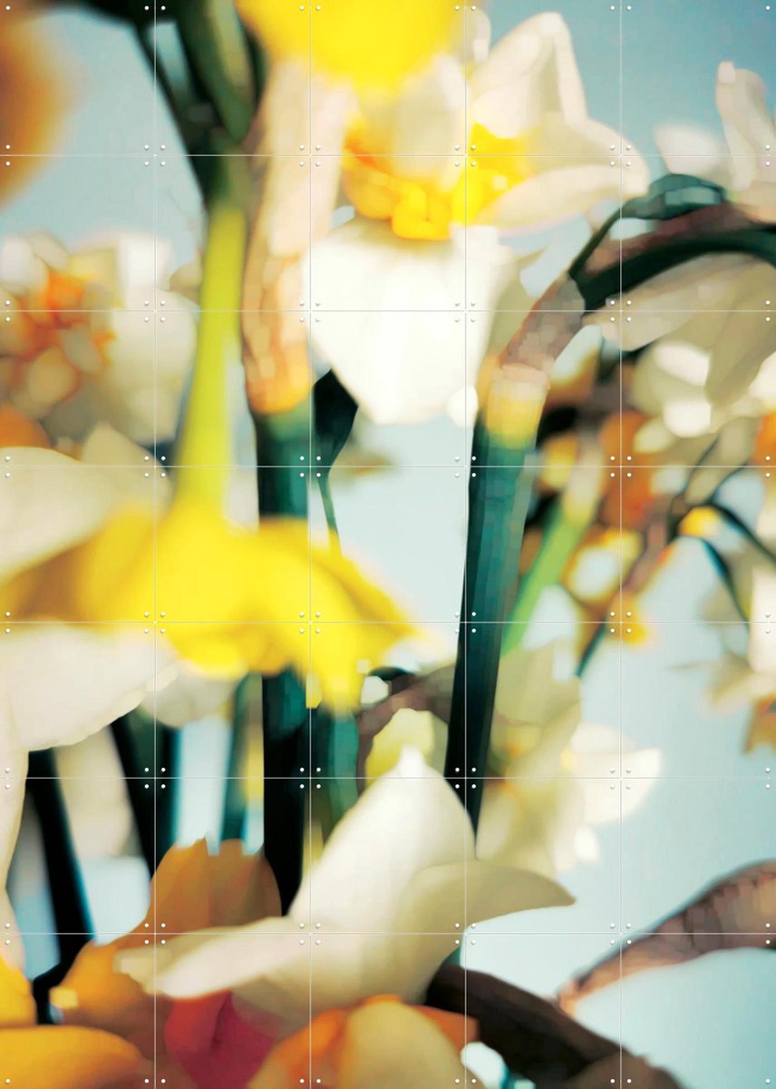 IXXI Primavera, Angelo Cerantola - 100 x 140 cm - Gratis ophangtool - Grote wanddecoratie en posters - Fotografie, Abstract, Impressionisme, Eetkamer
