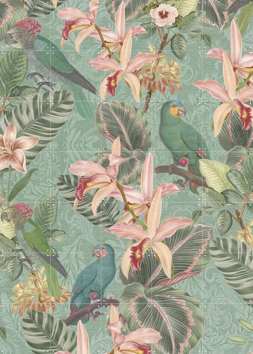 IXXI Tropical Jungle Birds, Bloomery Decor - 100 x 140 cm - Gratis ophangtool - Grote wanddecoratie en posters - Naturalisme, Grafisch Ontwerp