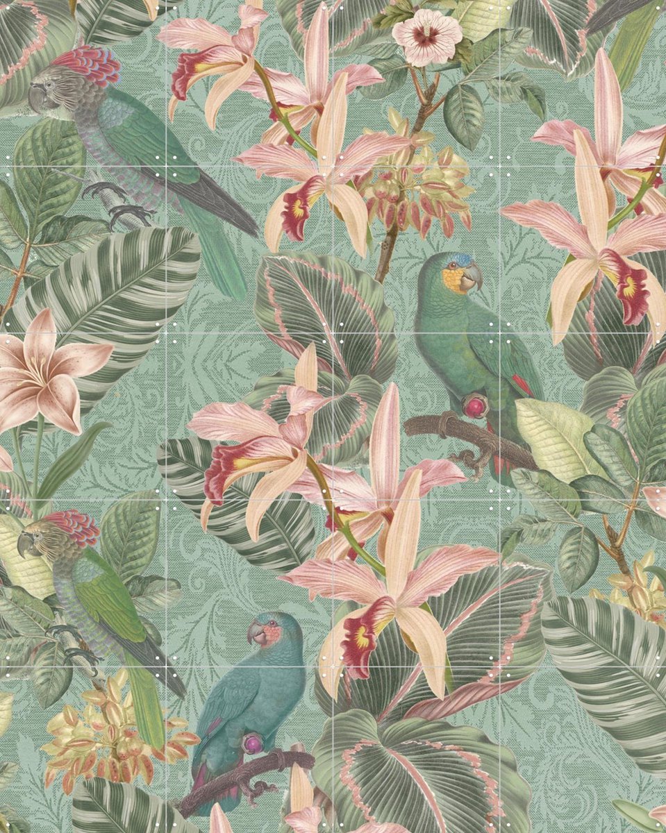 IXXI Tropical Jungle Birds, Bloomery Decor - 80 x 100 cm - Gratis ophangtool - Grote wanddecoratie en posters - Naturalisme, Grafisch Ontwerp