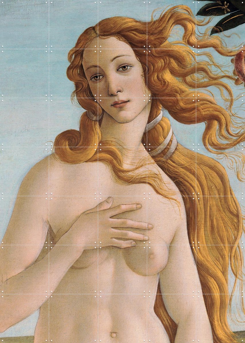 IXXI The Birth of Venus (detail), Sandro Botticelli & Bridgeman Images - 100 x 140 cm - Gratis ophangtool - Grote wanddecoratie en posters - Olieverf