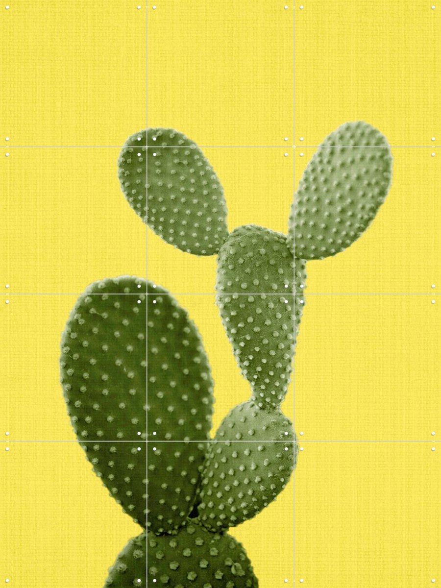 IXXI Cactus Yellow Print 87, Lila + Lola - 60 x 80 cm - Gratis ophangtool - Grote wanddecoratie en posters - Decoratieve kunsten, Kleurrijk, Speels