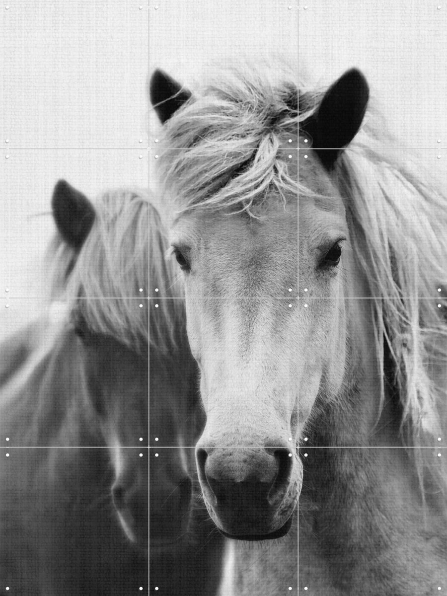 IXXI Print 180 Horses, Lila + Lola - 60 x 80 cm - Gratis ophangtool - Grote wanddecoratie en posters - Fotografie, Woonkamer, Dieren, Natuur
