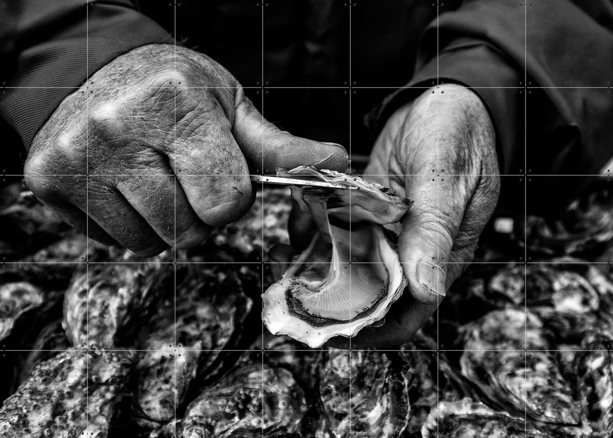 IXXI Oyster Farmer, Manu Allicot & Various - 140 x 100 cm - Gratis ophangtool - Grote wanddecoratie en posters - Vintage, Klassiek, Fotografie