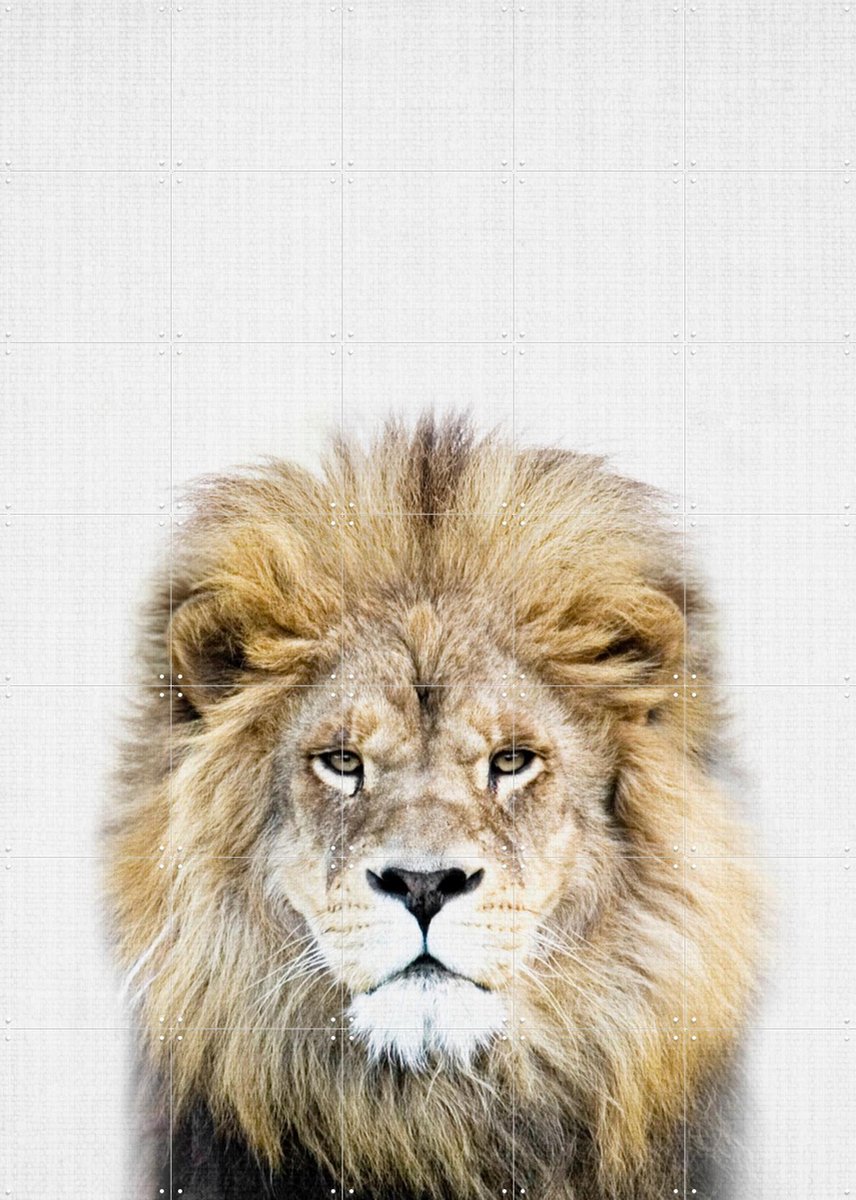 IXXI Print 326 Lion, Lila + Lola - 100 x 140 cm - Gratis ophangtool - Grote wanddecoratie en posters - Realisme, Fotografie, Babykamer, Kinderkamer