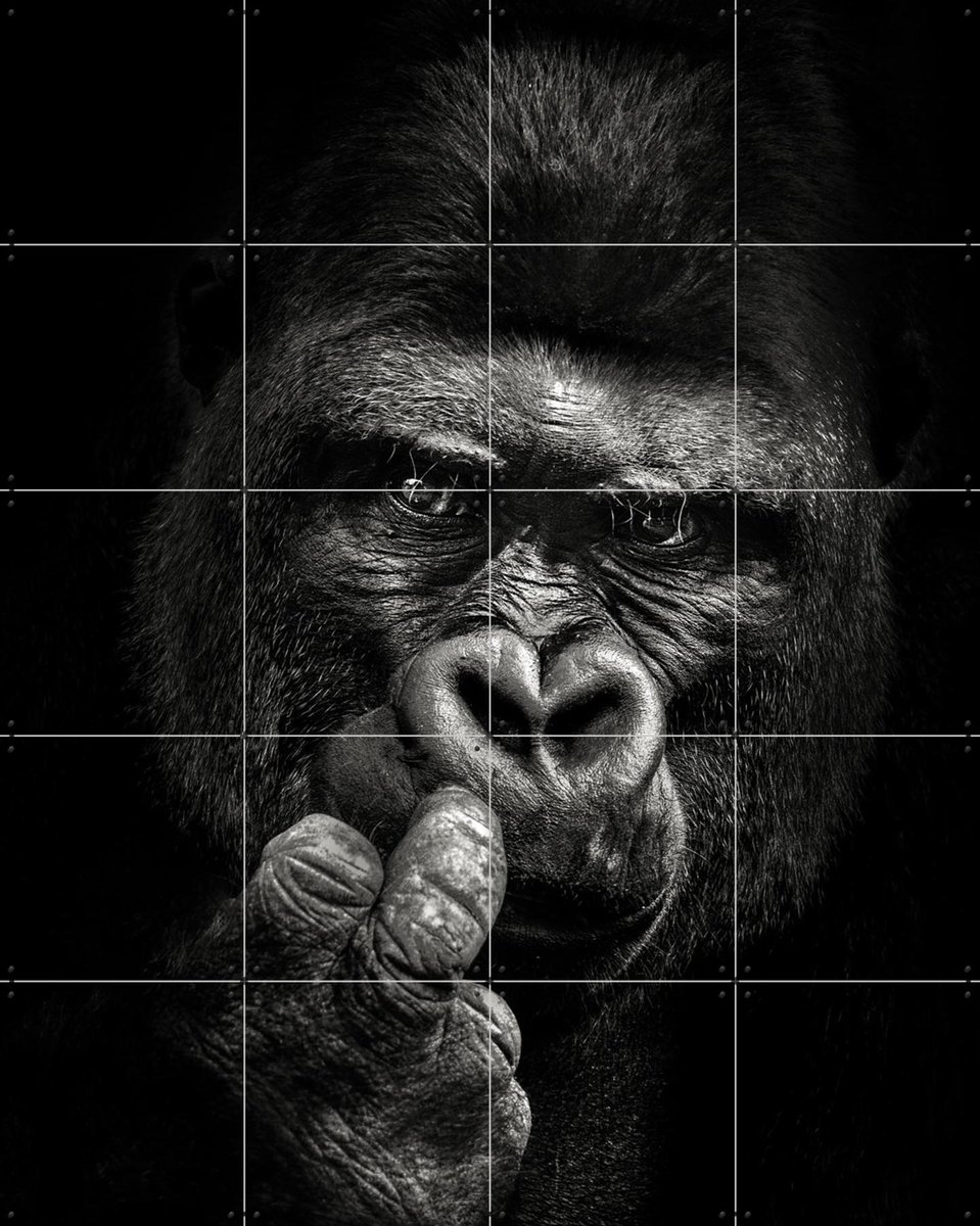 IXXI Attitude, Christian Meermann & Various - 80 x 100 cm - Gratis ophangtool - Grote wanddecoratie en posters - Fotografie, Woonkamer, Mancave