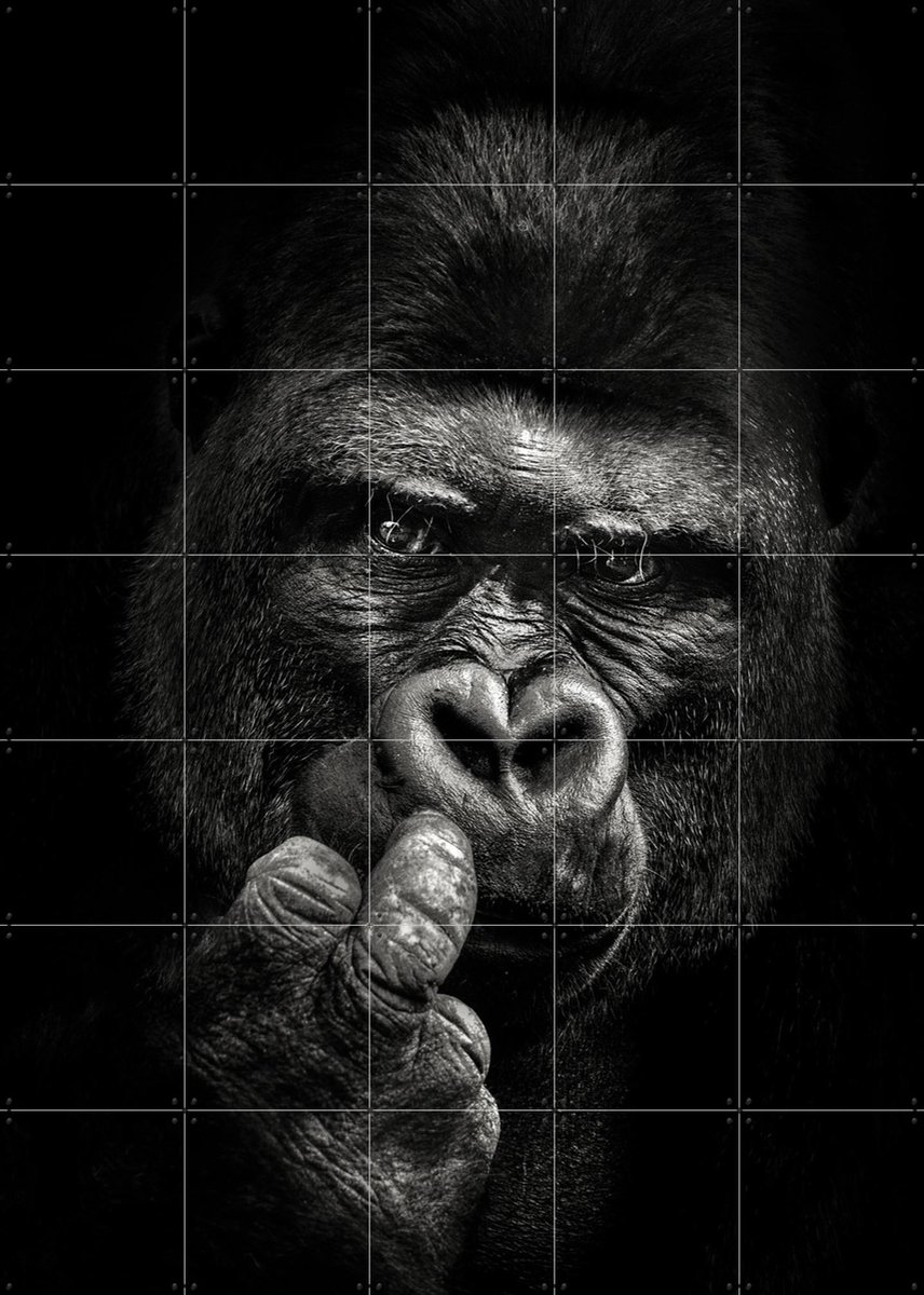 IXXI Attitude, Christian Meermann & Various - 100 x 140 cm - Gratis ophangtool - Grote wanddecoratie en posters - Fotografie, Woonkamer, Mancave