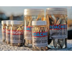 Albatros Geconserveerde aasvisjes - Roach 8-10cm - voor snoek, snoekbaars en baars