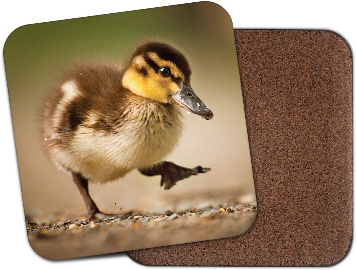 Leuke Eend Onderzetter - Drink Onderzetter met Baby Dieren en Vogel Thema