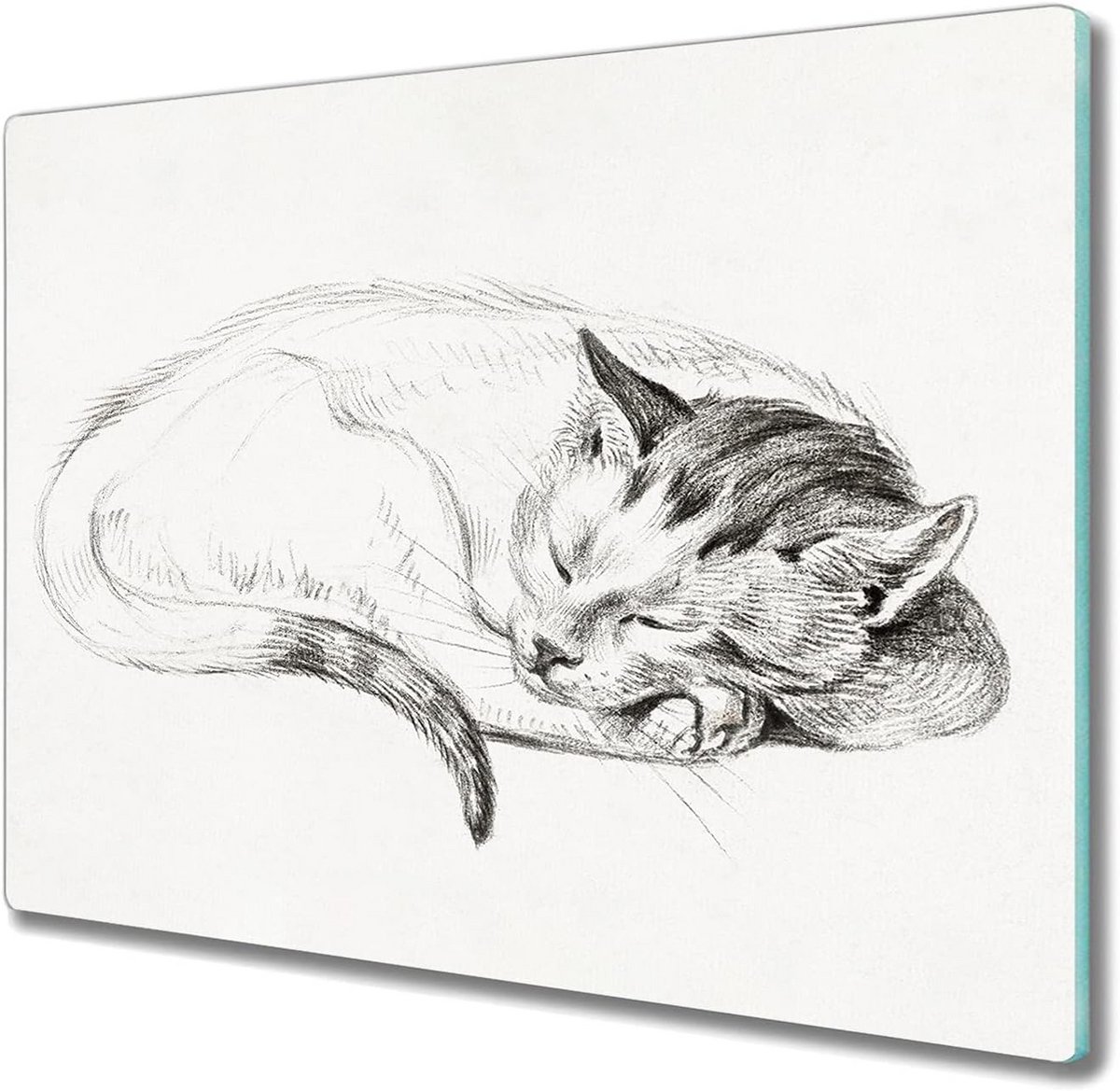 Glazen Snijplank met Kattenprint voor Kookplaat - 60x52 cm Gehard Glas