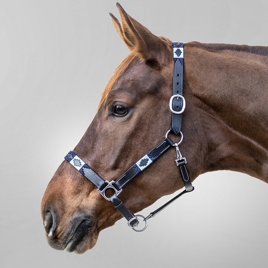 WALDHAUSEN LEDERENHALSTER POLO Blauw
