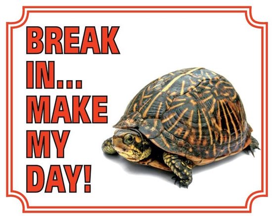 Schildpad Waakbord - Break in make my day