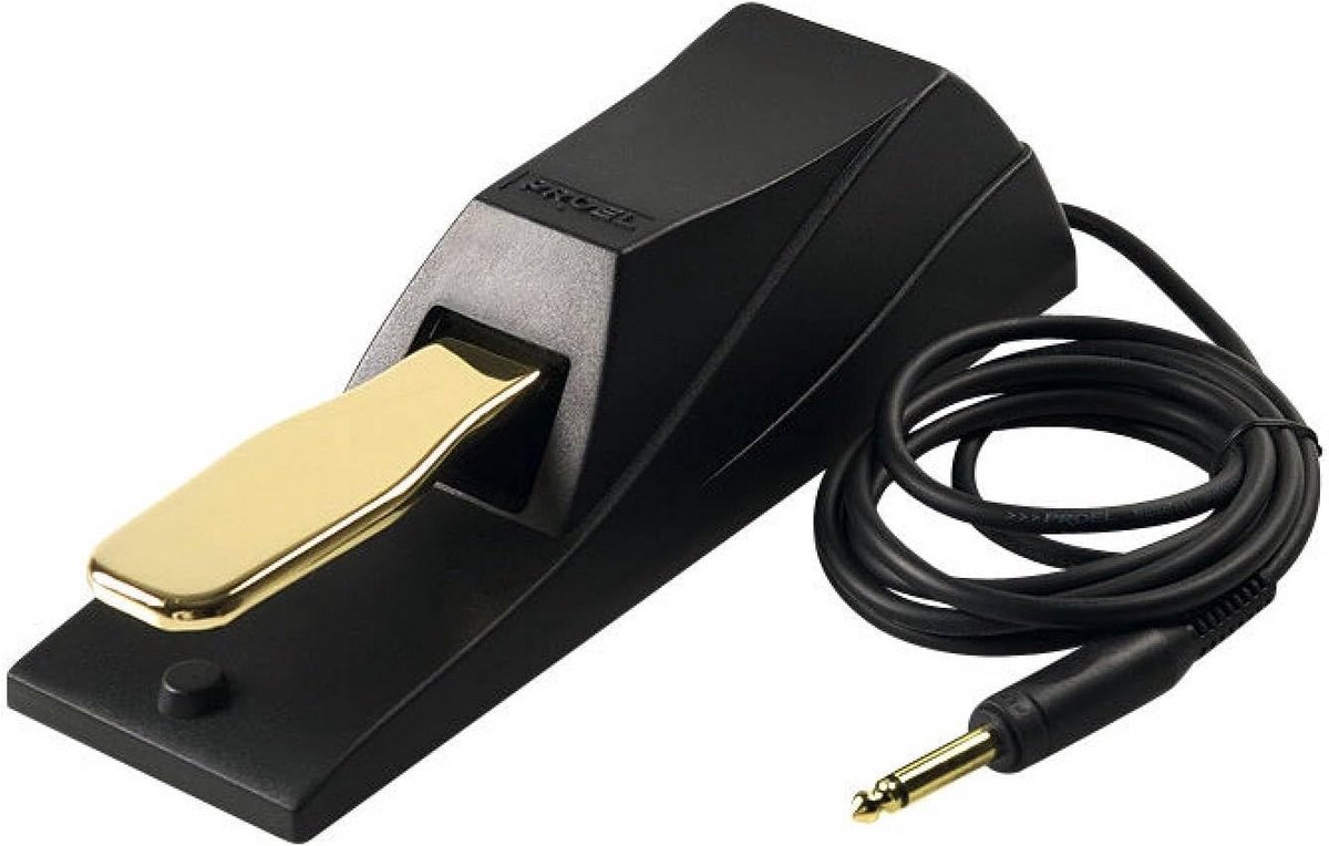 Universeel Demper Pedaal voor Keyboards en Digitale Piano's